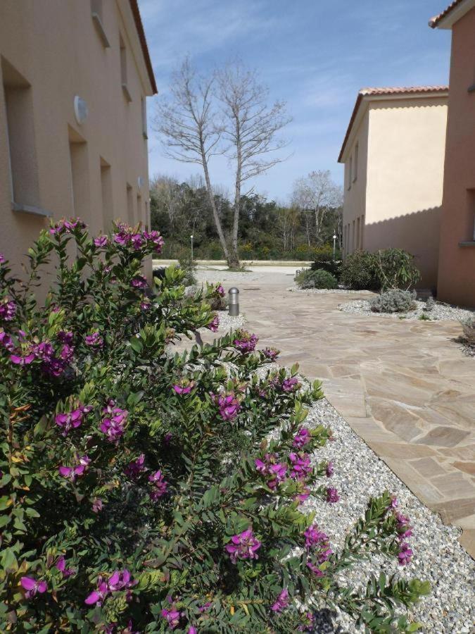 Nouvel Location D'Un Bel Appart T2 Climatise Et Meuble Au Rdch Avec Piscine Dans Residence Les Melody Santa-Maria-Poggio  Luaran gambar