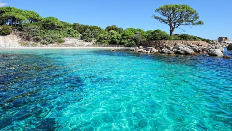 Nouvel Location D'Un Bel Appart T2 Climatise Et Meuble Au Rdch Avec Piscine Dans Residence Les Melody Santa-Maria-Poggio  Luaran gambar
